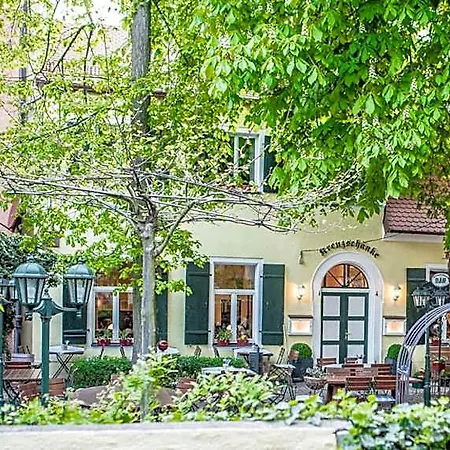 Jakob Downtown, Western Signature Collection Hotel